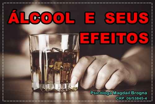 O Álcool e Seus Efeitos