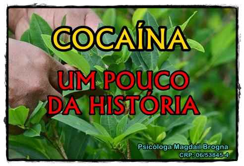 Cocaína: um pouco da história