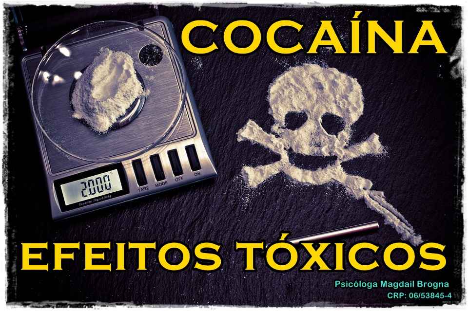 COCAÍNA: Absorção e Efeitos Tóxicos